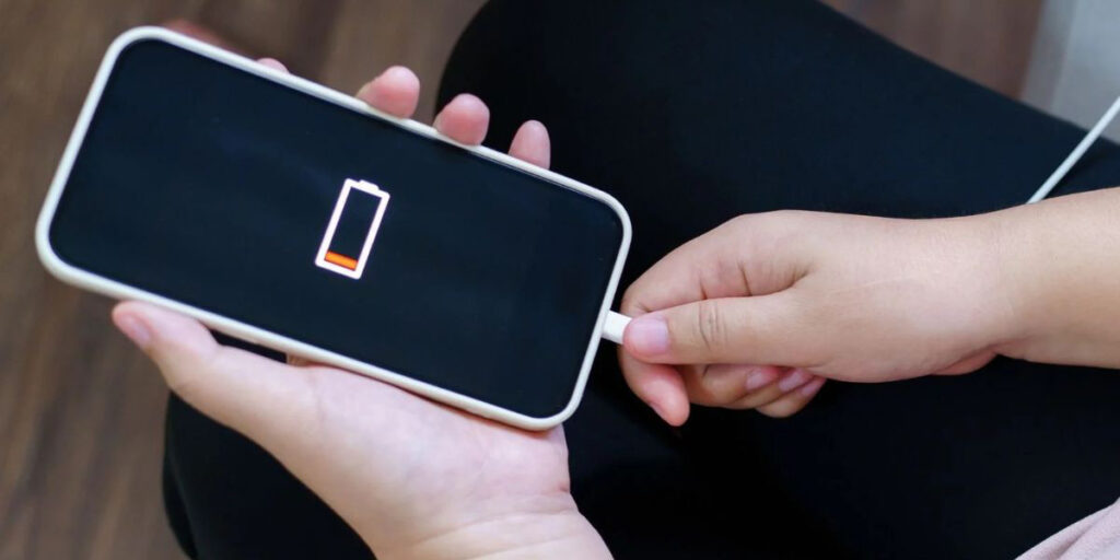 Cargador y Batería.