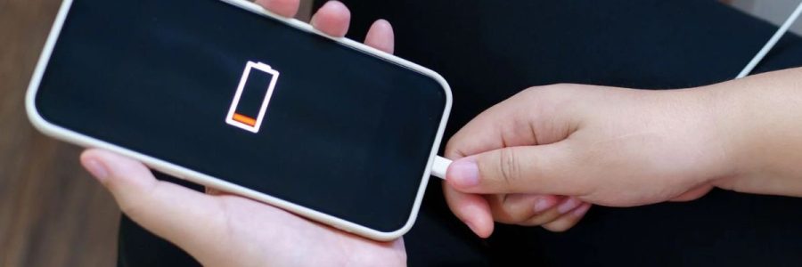 Cargador y Batería.