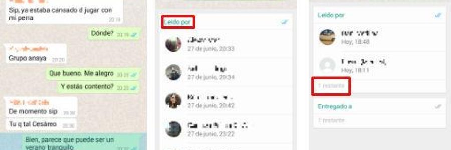 saber-quien-lee-tu-mensaje-de-grupo-whatsapp
